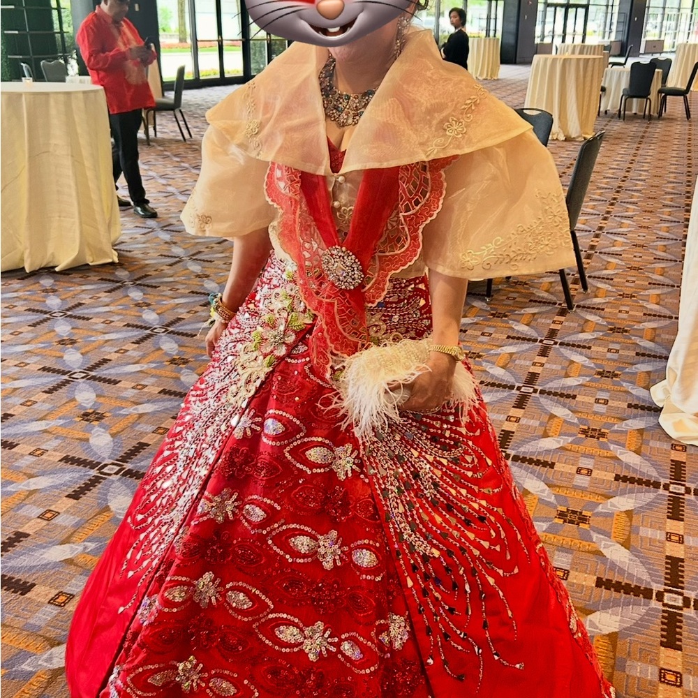 Elegant Red Embroidered Gown